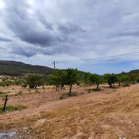 Pep De San Plana Sant Josep de sa Talaia